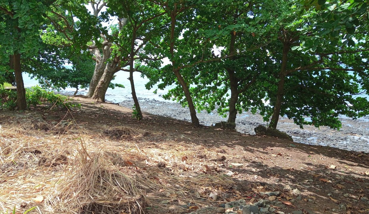 PRA 04 Terreno beira mar 2500m2 Passadeira Sao Tome com casa para renovar_007