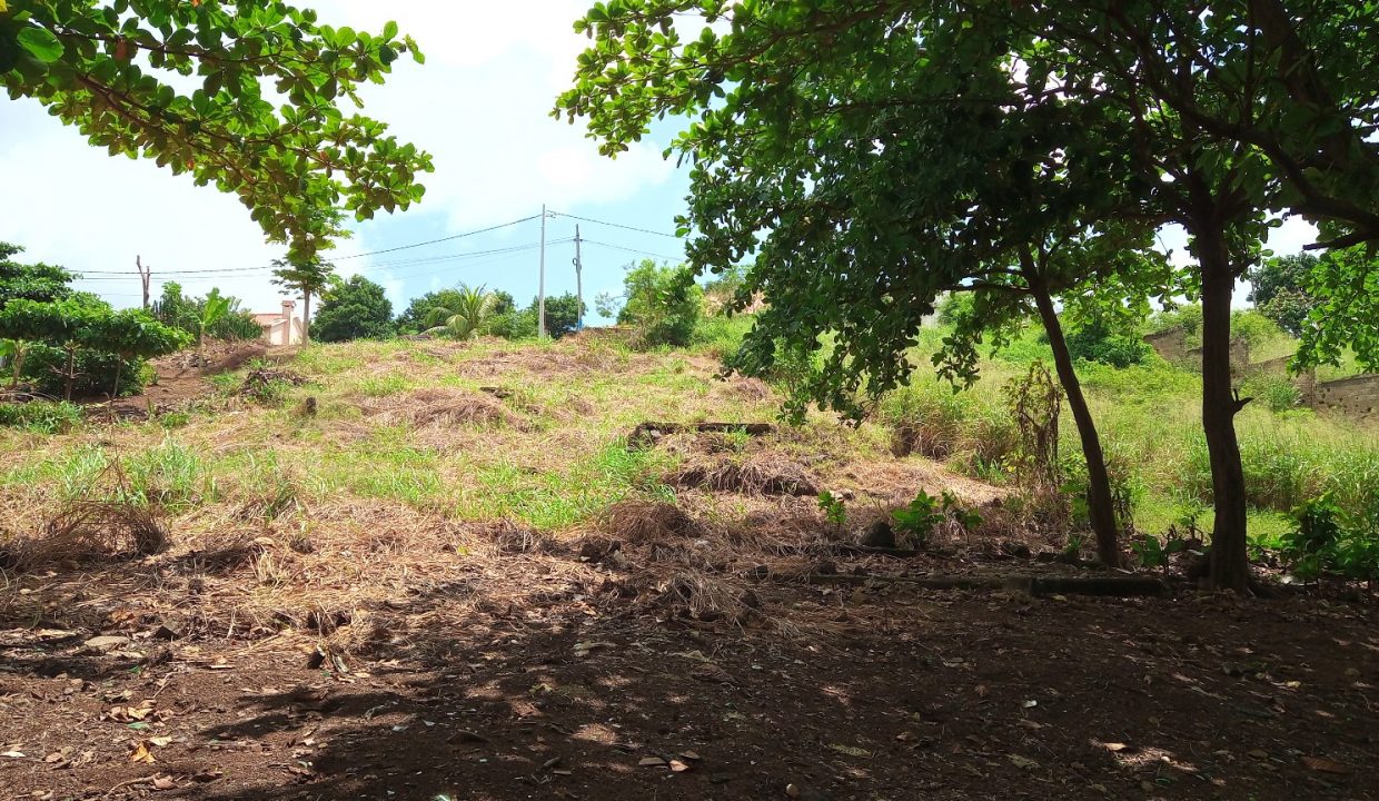 PRA 04 Terreno beira mar 2500m2 Passadeira Sao Tome com casa para renovar_015