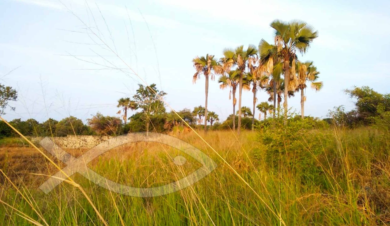saotome-kebo-casa-grande-terreano-praia-das-conchas-001