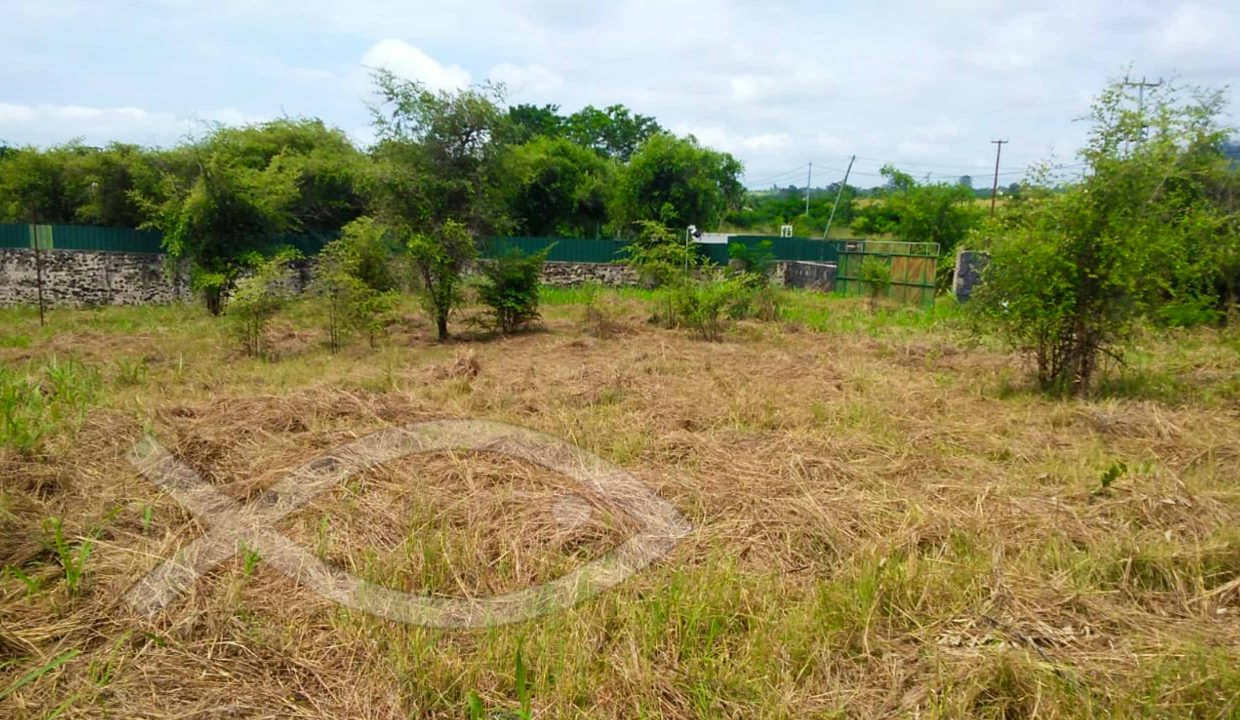 saotome-kebo-casa-grande-terreano-praia-das-conchas-008