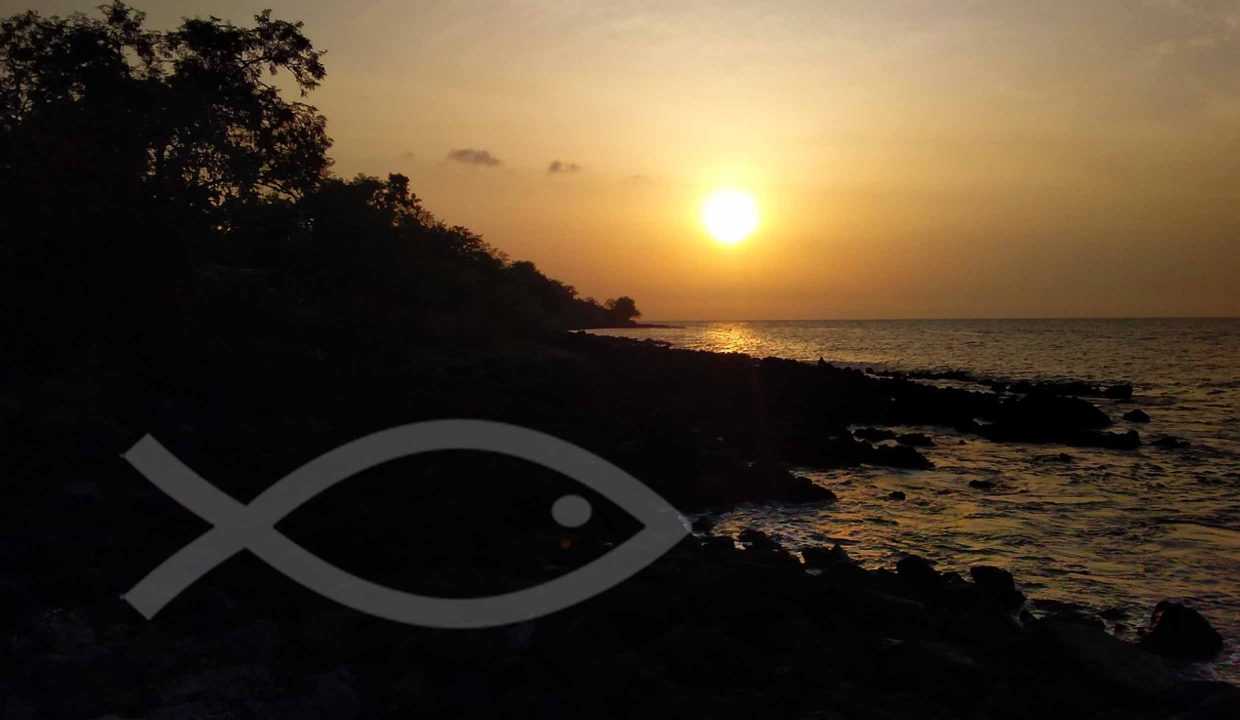 saotome-kebo-casa-grande-terreano-praia-das-conchas-011