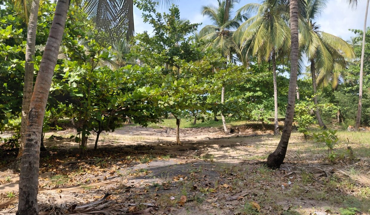 sao-tome-beo-praia-juventude terreno-1 ha- (1)