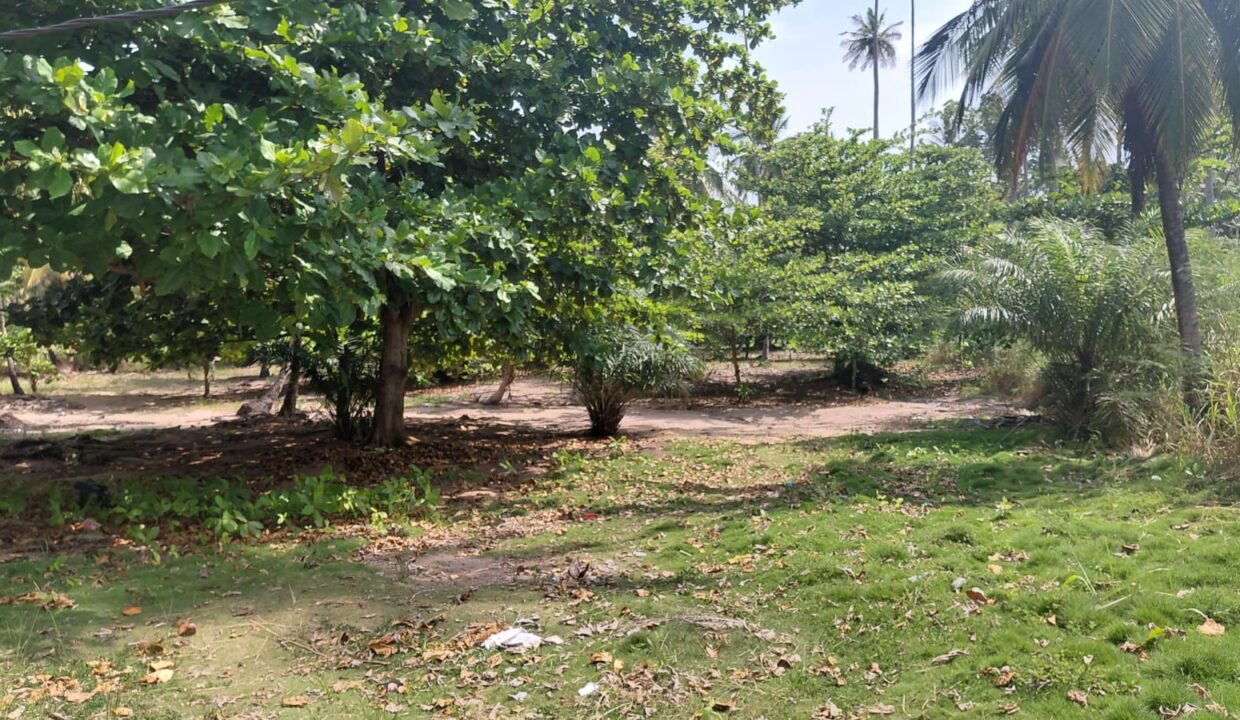 sao-tome-beo-praia-juventude terreno-1 ha- (10)