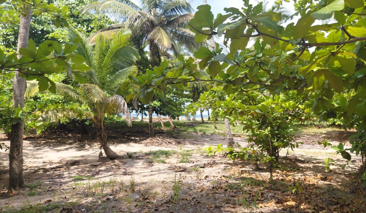 sao-tome-beo-praia-juventude terreno-1 ha- (3)